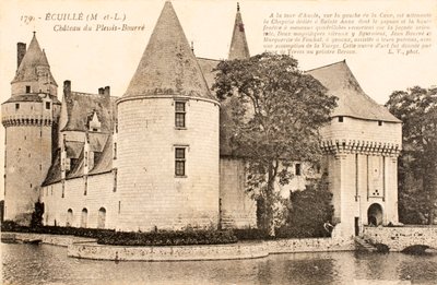 Castillo de Plessis Bourre, Ecuille, Maine y Loira, Países del Loira, Francia de William M. Timlin