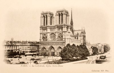 Notre Dame, París, Sena, Isla de Francia, Francia de William M. Timlin