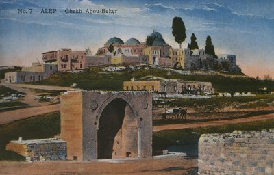 Postal que representa la Mezquita Shaykh Abu Bakr en Alepo, Siria, c.1920 de Unbekannt