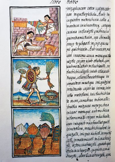 Procesamiento de plumas, texto en náhuatl, facsímil del manuscrito Historia General de las Cosas de la Nueva España, también conocido como Códice Florentino, por Bernardino de Sahagún de William M. Timlin
