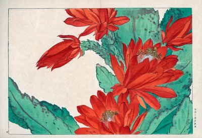 Rara flor, color rojo carmesí, de Cactus speciosus. Flor de cactus carmesí, Cactus speciosus. Grabado en madera coloreado a mano de la obra de Konan Tanigami "Seiyou Sokazufu" (Álbum pictórico de plantas y flores occidentales: primavera), Unsodo, Kioto. de Unbekannter Künstler