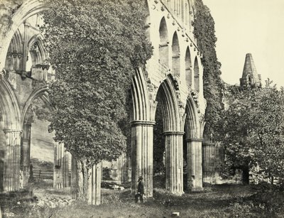 Abadía de Rievaulx, North Yorkshire, Reino Unido (fotografía en blanco y negro) de Unbekannter Künstler