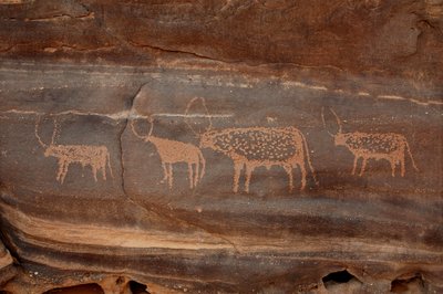 Arte rupestre, Prehistoria: Grabado de cuatro ganado en el macizo de Uweinat, Sudán (Karkur-Talh o Karkur Talh). Periodo de 8000 a 3000 años a.C. Fotografía de Unbekannt