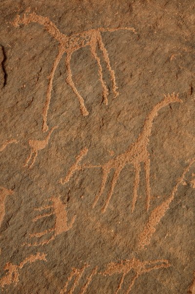 Arte rupestre, Prehistoria: Grabado de jirafas, avestruces, otros animales y personajes en el macizo de Uweinat, Sudán (Karkur-Talh o Karkur Talh). Período de 8000 a 3000 años a.C. Fotografía de Unbekannt