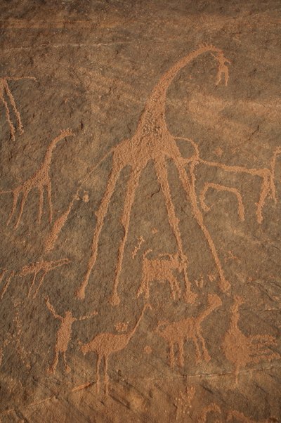Arte rupestre, Prehistoria: Grabado de jirafas, avestruces, ovejas y personajes en el macizo de Uweinat, Sudán (Karkur-Talh o Karkur Talh). Período de 8000 a 3000 años a.C. Fotografía de Unbekannt