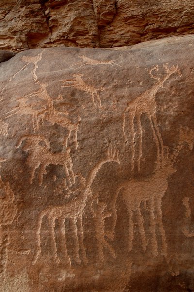 Arte rupestre, Prehistoria: Grabado de jirafas, avestruces, ovejas, perro y personaje en el macizo de Uweinat, Sudán (Karkur-Talh o Karkur Talh). Periodo de 8000 a 3000 años a.C. de Unbekannt