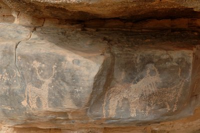 Arte rupestre, Prehistoria: Grabado de tres ganado en el macizo de Uweinat, Sudán (Karkur-Talh o Karkur Talh). Periodo de 8000 a 3000 años a.C. Fotografía de Unbekannt