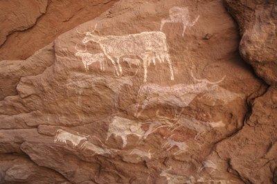 Arte rupestre, Prehistoria: Pintura rupestre de un grupo de ganado en un refugio ornamentado, en el macizo de Uweinat, Sudán (Karkur-Talh o Karkur Talh). Periodo de 8000 a 3000 años a.C. Fotografía de Unbekannt