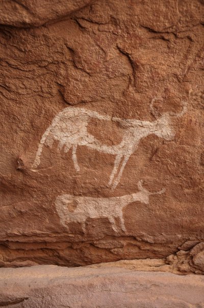 Arte rupestre, Prehistoria: Pintura rupestre de dos vacas con cuernos grandes en un refugio ornamentado, en el macizo de Uweinat, Sudán (Karkur-Talh o Karkur Talh). Período de 8000 a 3000 años a.C. Fotografía de Unbekannt