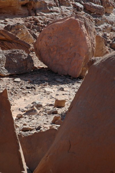 Arte rupestre, Prehistoria: Roca redonda con grabados de jirafas y avestruces en el macizo de Uweinat, Sudán. Período de 8000 a 3000 años a.C. Fotografía de Unbekannt