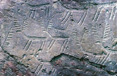 Grabados rupestres en el Parque Arqueológico Nacional Massi di Cemmo, Val Camonica (Lista del Patrimonio Mundial de la Unesco) de William M. Timlin