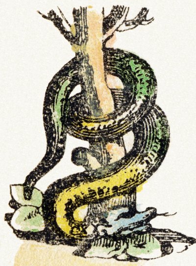 S - Serpiente - Alfabeto de Entretenimiento Infantil c.1890 (litografía) de Unbekannt