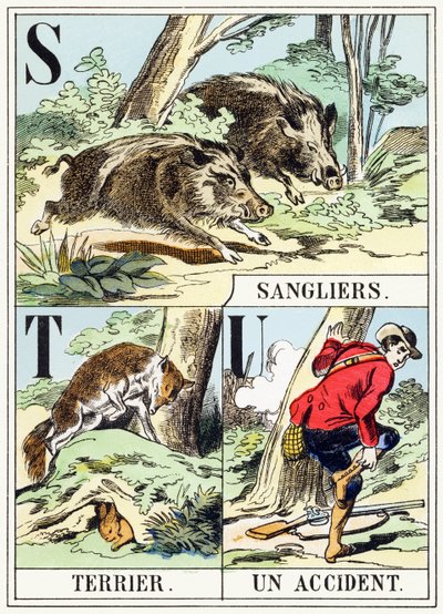 S T U: Jabalí, Terrier, Un accidente - El Alfabeto de la Caza, c.1890 de Unbekannt