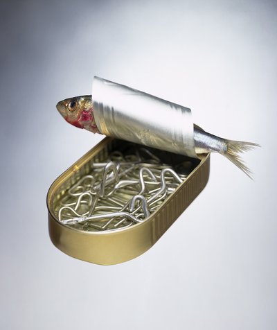 Inversión de la lata de sardinas de Unbekannter Künstler