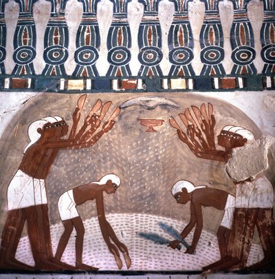 Escena de destrucción de trigo, tumba de Nakht, sala de la tumba de los nobles. Vallée des Nobles. Sitio web de Luxor, Egipto. de Leopold Blonder