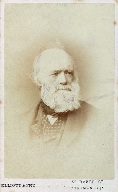 Sir Charles Lyell, geólogo inglés, c 1865-1875 de Unbekannt