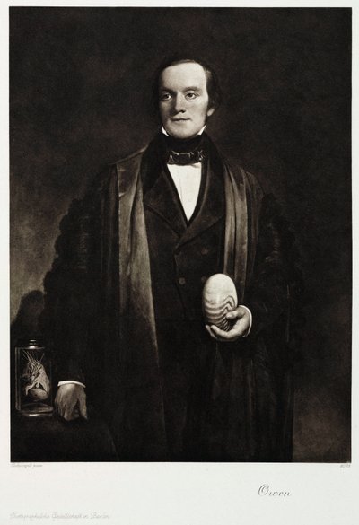 Sir Richard Owen, naturalista y paleontólogo inglés, c.1845 de Unbekannt
