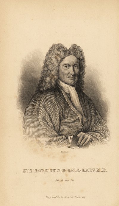 Sir Robert Sibbald, naturalista y anticuario escocés de Unbekannt