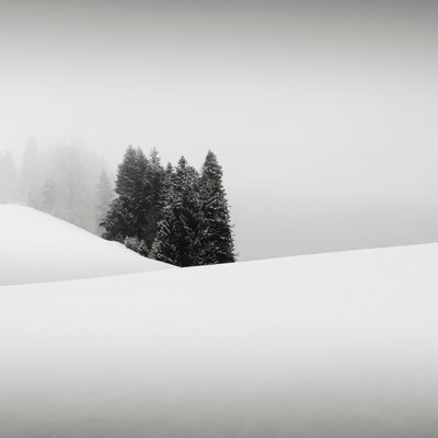 Snowytales Oasis, Baviera, Alemania, 2013 (fotografía en B/N) de Leopold Blonder
