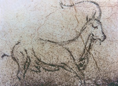 Cabra española, periodo paleolítico, c.40000-12000 a.C. (pintura rupestre) de Unbekannter Künstler