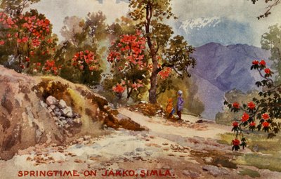 Primavera en Jahko, Simla, India de Unbekannter Künstler