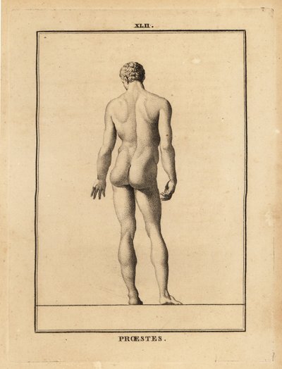 Estatua de Orestes, desnudo, hijo de Agamenón en la mitología griega de Unbekannt