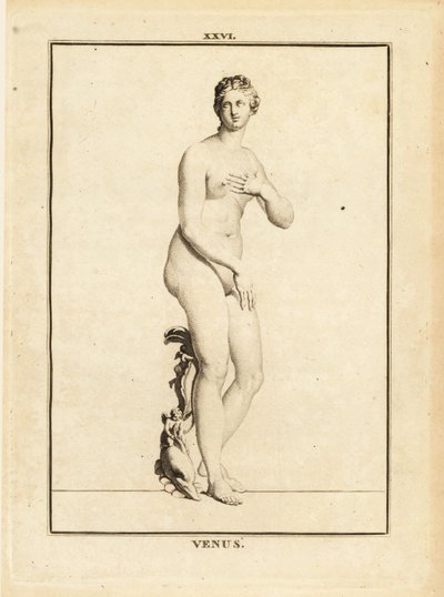 Estatua de Venus, diosa romana del amor, la belleza, el sexo y la fertilidad de Unbekannt
