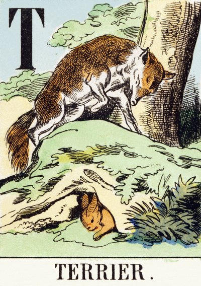 T: Terrier - El Alfabeto de la Caza, c.1890 de Unbekannt