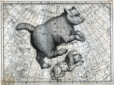 Las Constelaciones Boreales: la Osa Mayor y el Pequeño León. Grabado de Les étoiles et les autres curiosités du ciel de Camille Flammarion de Unbekannt