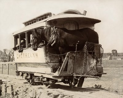 El Carro de Caballos Cherrelyn, Denver, Colorado, c.1890 (foto en blanco y negro) de Nicolas Liez