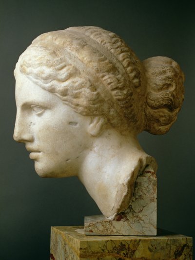 La Cabeza de Kauffmann, romana de Unbekannt