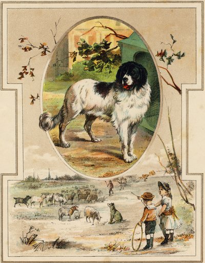 El perro. Grabado en "Mon premier Grand Alphabet". Edición Bernardin-Bechet, París, circa 1890. Ilustraciones de A. des Lilleuls. Sin página, 46 páginas de Unbekannt