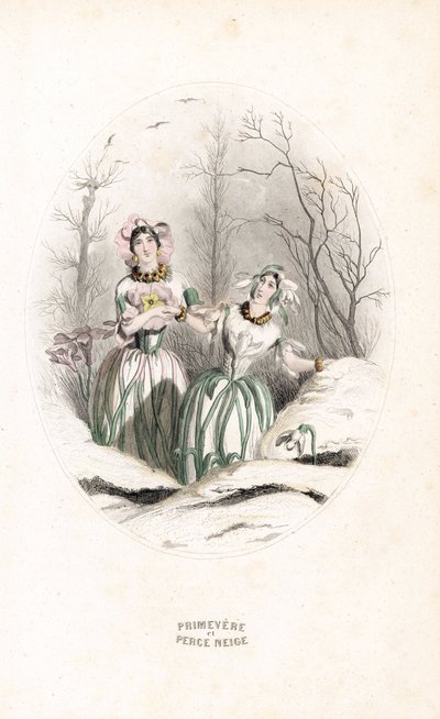 Las tasas atraviesan la nieve y primevere en un paisaje nevado - Eau forte de Charles Geoffroy (1819-1882), basado en una ilustración de Jean Ignace Isidore Gerard dit J.J.J.Granville (1803-1847), para Les fleurs animees de Unbekannter Künstler