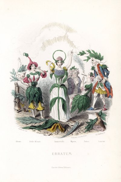 Los honorarios de las flores, el de la aceituna, durmiendo en un gorro de algodón, la belleza nocturna, la siempreviva con corona y aureola de serpiente, el mirto en un anciano, el tabaco fumando el puro y el laurel en un viejo mosquetero - Eau forte de Ch de Unbekannter Künstler