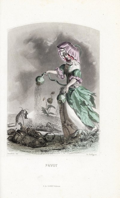 La cuota de adormidera rocía vainas de opio sobre coleópteros y langostas drogas - Eau forte de Charles Geoffroy (1819-1882), basado en una ilustración de Jean Ignace Isidore Gerard dit J.J.Granville (1803-1847), para Les fleurs animees de Unbekannter Künstler