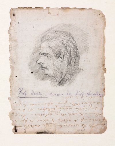 Thomas Henry Huxley, biólogo inglés, mediados-finales del siglo XIX de Unbekannt