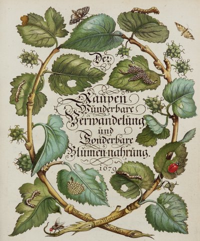 Página de título del libro de historia natural de Alec Hunter