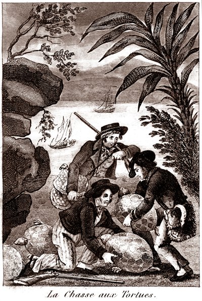 Caza de tortugas de Unbekannter Künstler