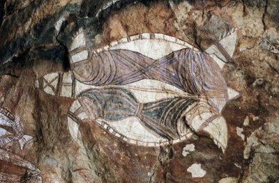 Tortuga, pintura rupestre, Arnhem Land, Territorio del Norte, Australia, cultura aborigen de Benjamin Baud