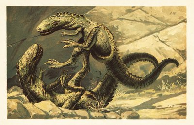 Dos Dryptosaurus aquilunguis batallando.1908 (litografía) de Unbekannter Künstler