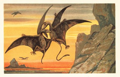 Dos pterodáctilos luchando en pleno vuelo contra un cielo carmesí.1908 (litografía) de Unbekannter Künstler