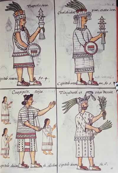 Tzapotlatena, Chalchiuhtlatonal, Cioapipitli y Tliltecuhtli, Códice Florentino, versión bilingüe en español y náhuatl, Historia General de las Cosas de la Nueva España, Civilización azteca de William M. Timlin