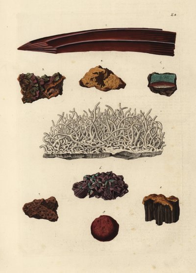 Variedades de mineral de hierro. Grabado en cobre coloreado a mano según una ilustración de Georg Wolfgang Knorr