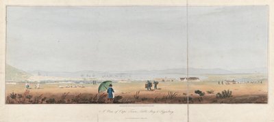 Vista de Ciudad del Cabo, la bahía de la Mesa y las colinas Tygerberg (Sudáfrica). Litografía (26,5x53,5 cm) de J.W. Burchell. de Unbekannter Künstler