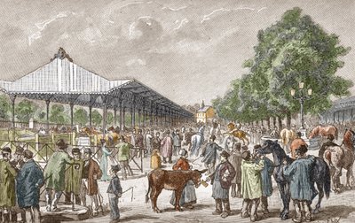 Vista del mercado de caballos en el distrito 5 de París Grabado de "Les stages d
