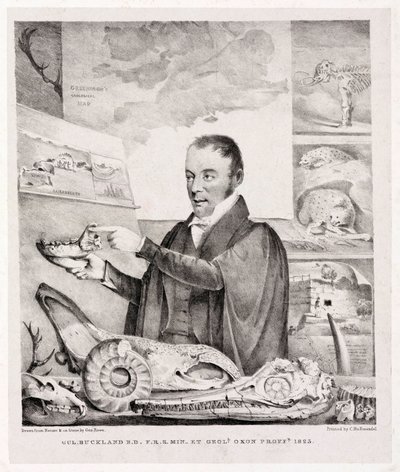 William Buckland, geólogo de Unbekannt
