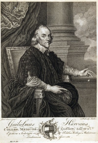 William Harvey, médico inglés de Unbekannt