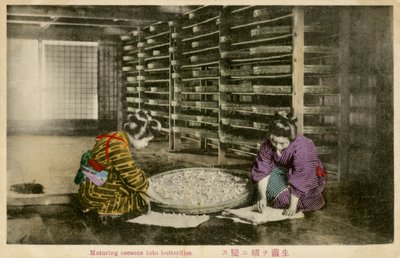 Mujeres madurando capullos de gusanos de seda de Unbekannter Künstler