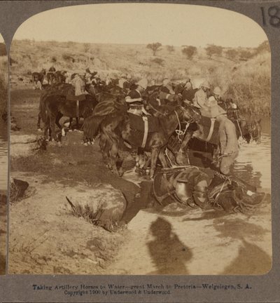 Riego de caballos de artillería, Welgelegen, Sudáfrica de Underwood and Underwood