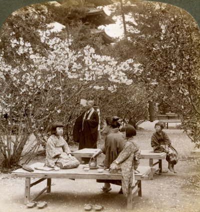 Una familia disfrutando de un picnic bajo los cerezos en flor, Omuro Gosho, Kioto, Japón, 1904 de Underwood and Underwood